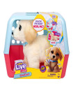 LLP LITTLE LIVE PETS OUCHIES DELUXE SINGLE PK COOPER